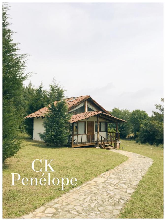 Готель Casa Kitsch Сакатлан Екстер'єр фото